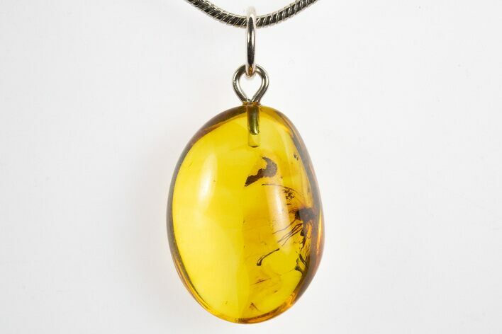 Polished Baltic Amber Pendant (Necklace) - Contains Fly! #328472